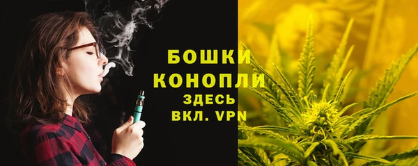 apvp Богородицк