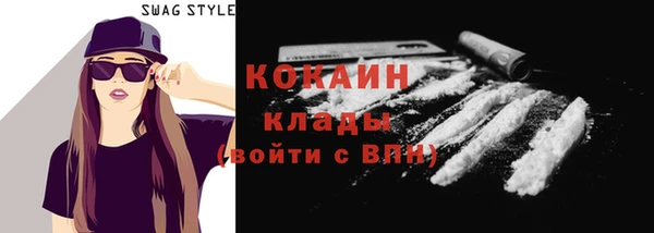 apvp Богородицк
