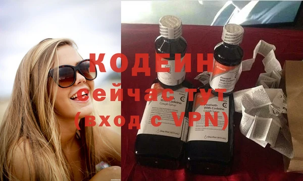 ПСИЛОЦИБИНОВЫЕ ГРИБЫ Тайга