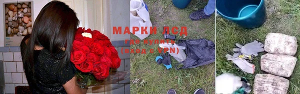 соль ск Богданович