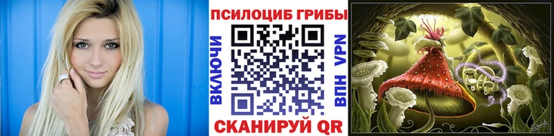 Псилоцибиновые грибы мицелий  Городище 